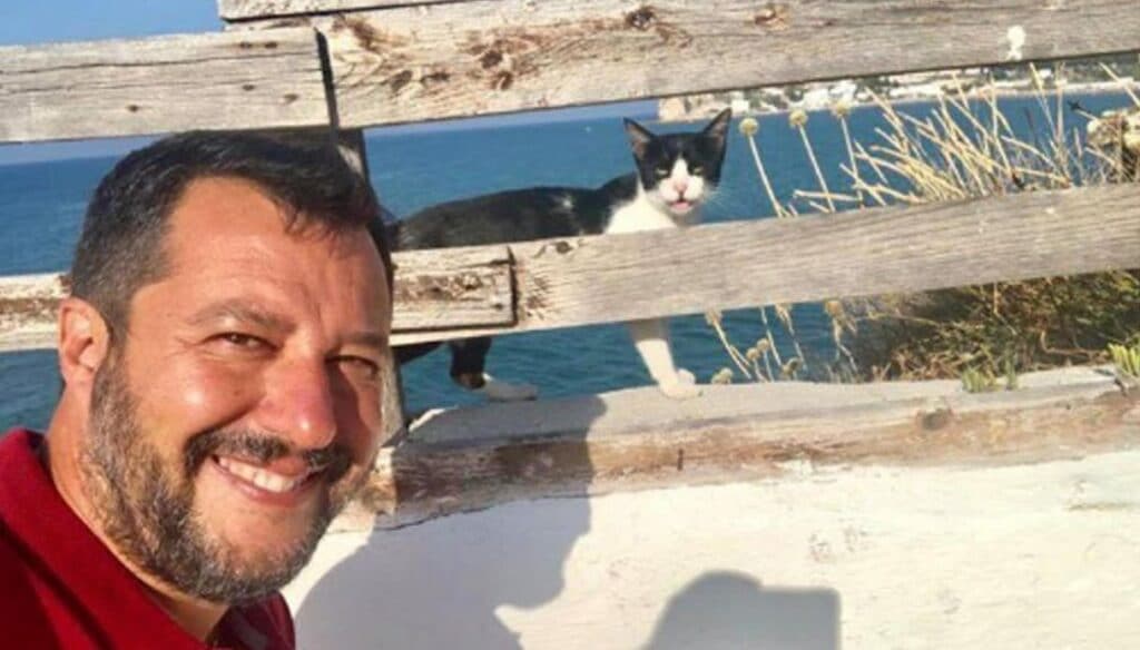 salvini con gatto