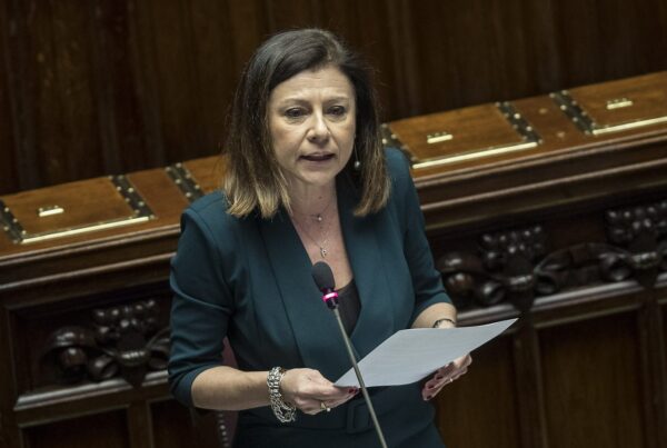 paola de micheli