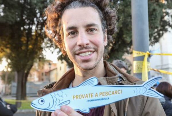 sardine